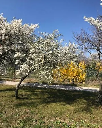 Astoria Отель типа 