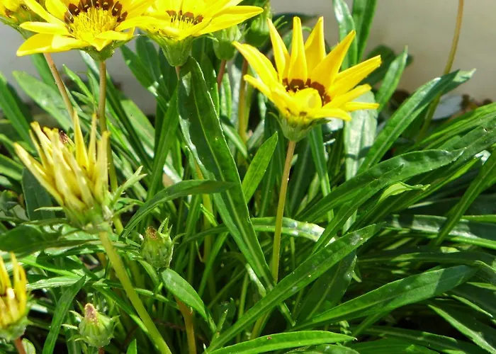 Astoria Bed & Breakfast