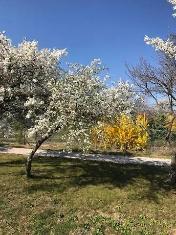 Astoria Bed & Breakfast